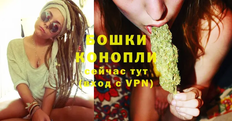 Шишки марихуана OG Kush  Вытегра 